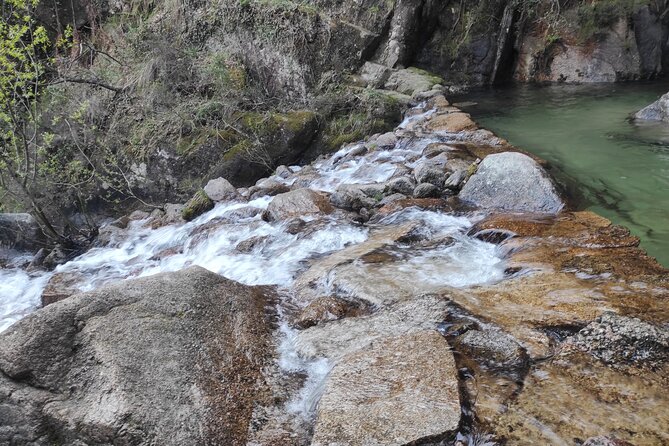 Ribeiro de águas límpidas entre rochas